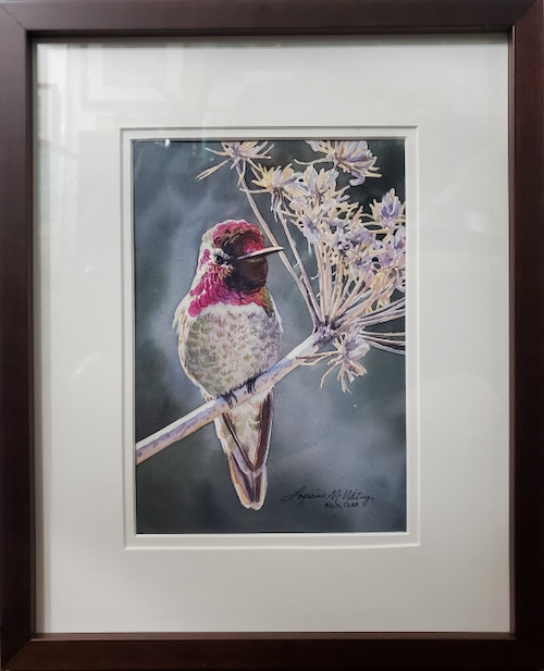 Click to view detail for On Stage 10x7 $525